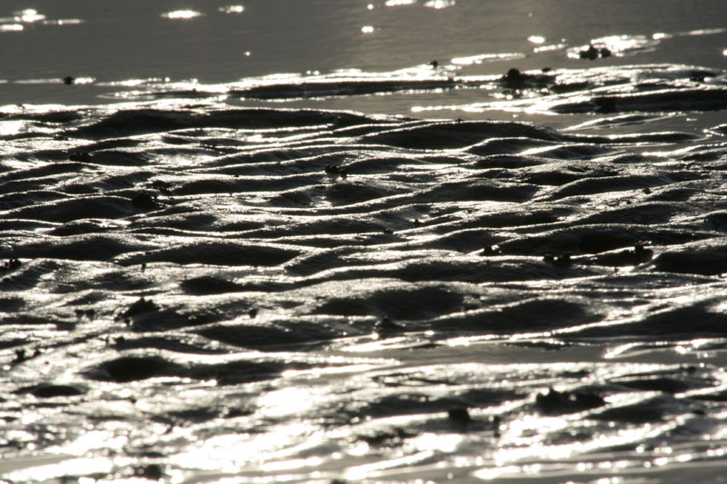 Ameland - reflecties van het laatste zonlicht op het droogvallend wad
